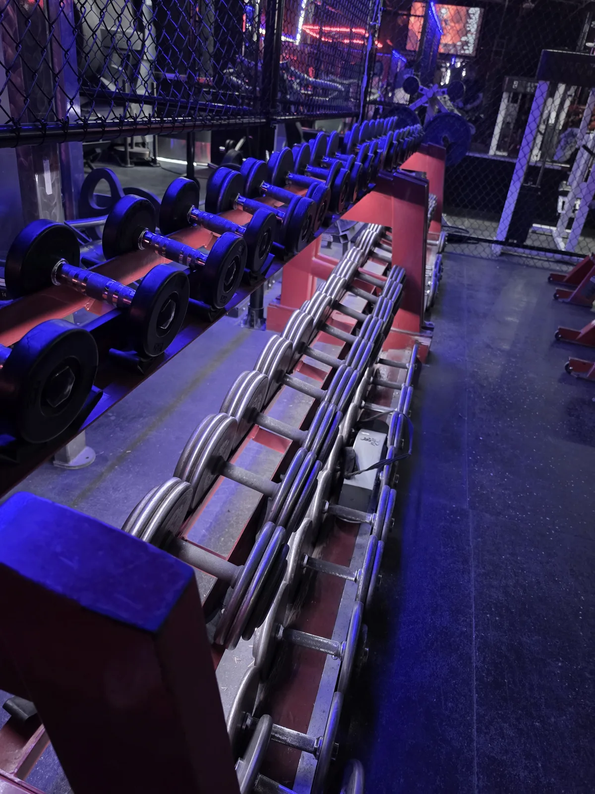 Backup dumbbell set from 5 to 50 pounds at Iron Arms Gym