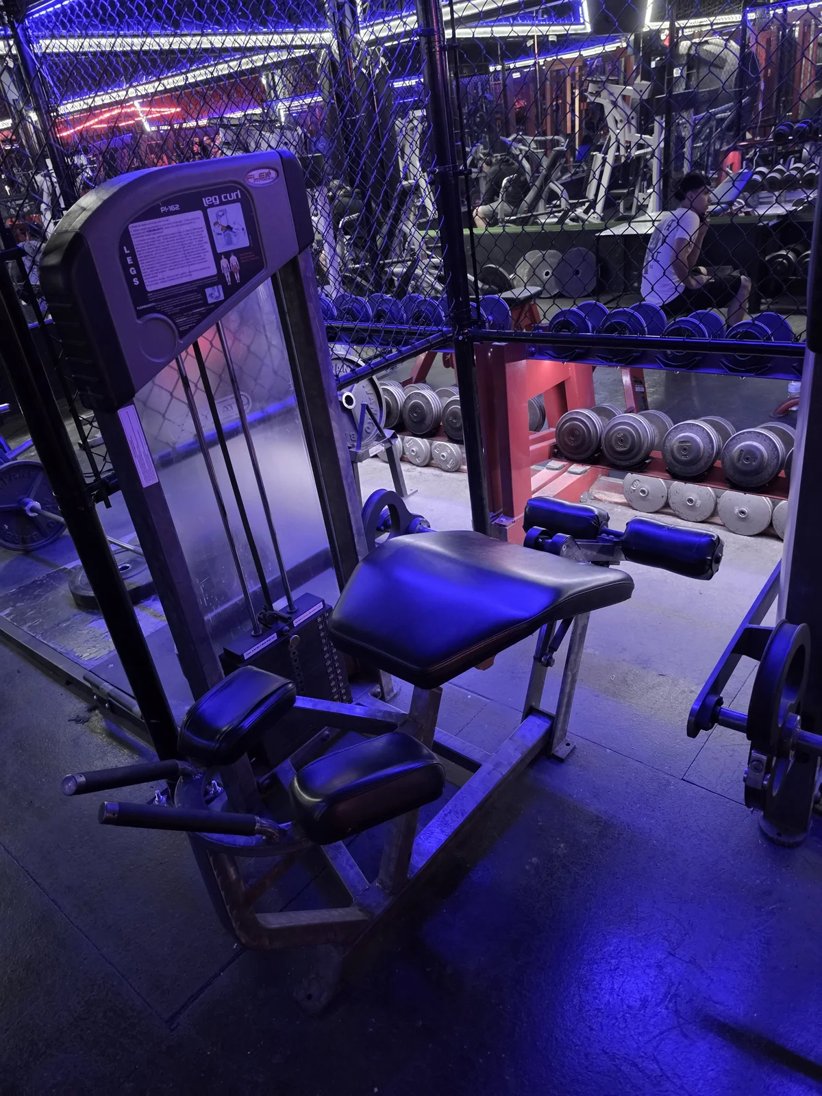 Flex Fitness lying hamstring curl machine at Iron Arms Gym