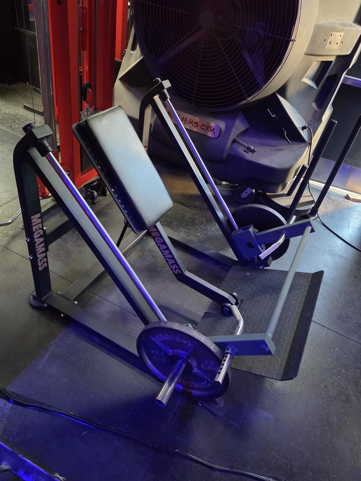 Mega Mass plate-loaded row machine at Iron Arms Gym