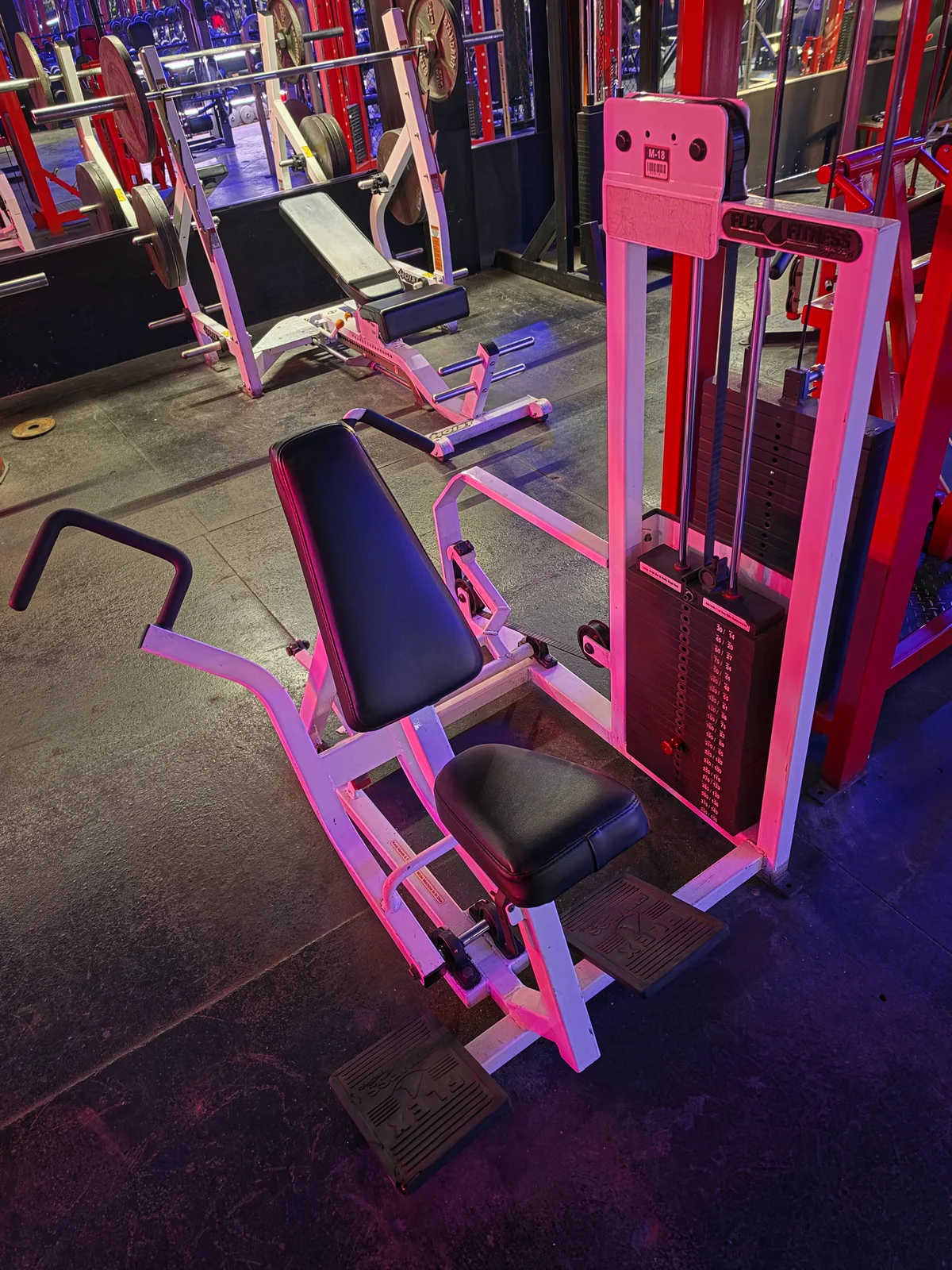 Flex Fitness Multi Row weight-stack machine at Iron Arms Gym