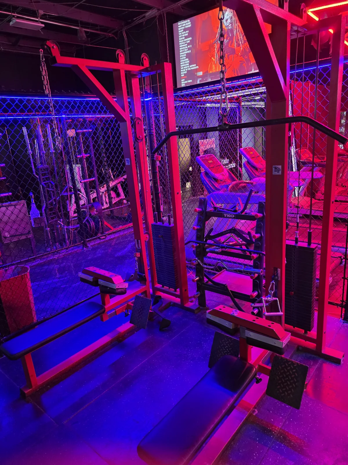 Heavy-duty cable pulldown and rowing stations at Iron Arms Gym