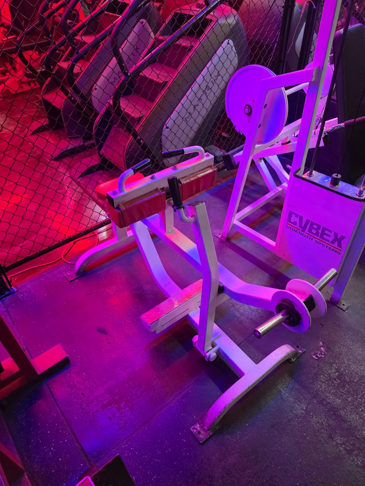 Seated calf raise machine at Iron Arms Gym