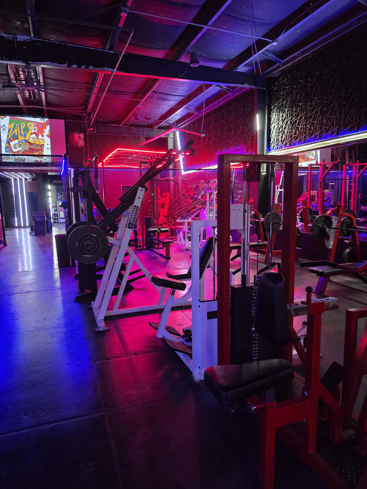 Wide view across the lit training floor at Iron Arms Gym