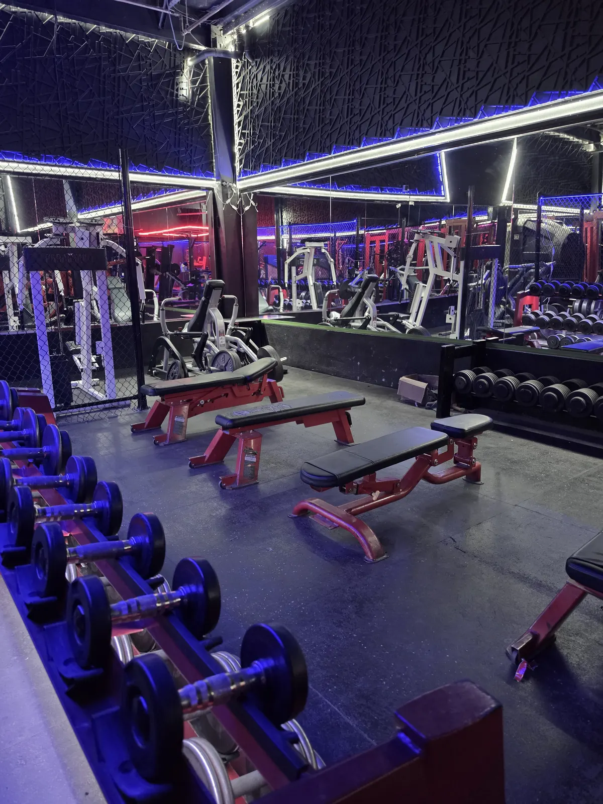 Free-weight area with racks and machines at Iron Arms Gym